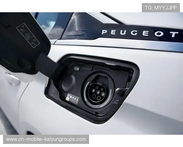 广州豹或迎新金主?冲超失败却迎暴涨转折,广州豹过学车怎么样 广州豹或迎新金主?冲超失败却迎暴涨转折,广州豹过学车怎么样