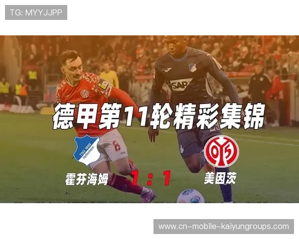 霍芬海姆客战美因茨：状态汇总