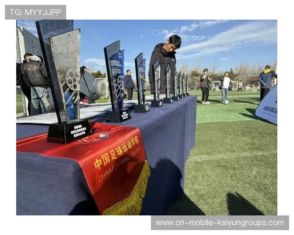 中国足球足球公益活动进展，足球公益活动主题